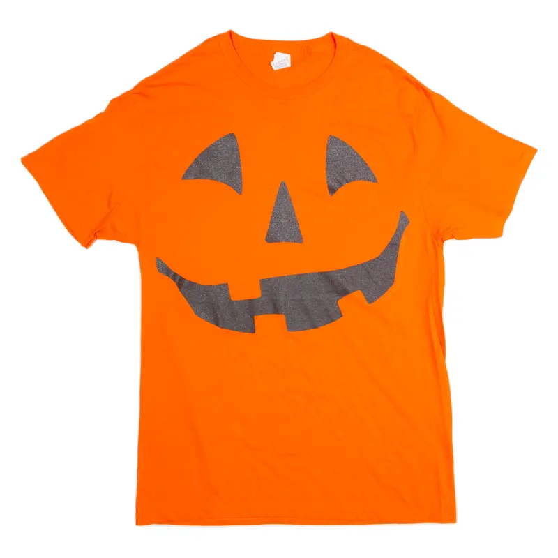 Fruit Of The Loom Pumpkin Mens T-Shirt Orange M 1