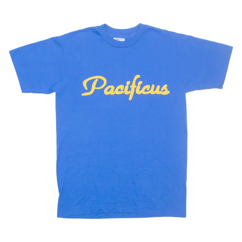 Hanes Pacificus Mens T-Shirt Blue M 1